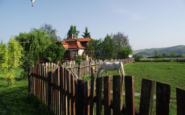 Folyoka Vendeghaz Hotel Egyházasgerge Buitenkant foto