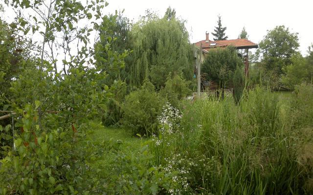 Folyoka Vendeghaz Hotel Egyházasgerge Buitenkant foto