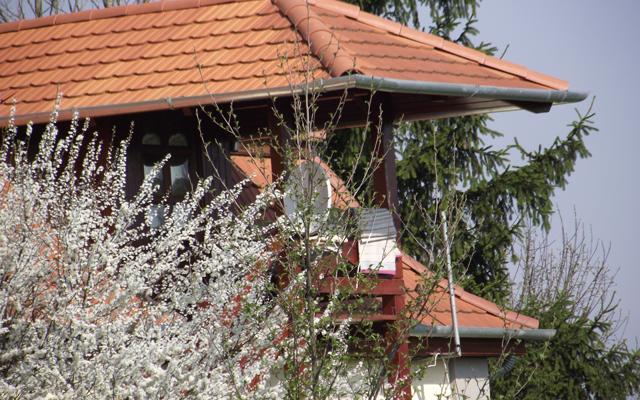 Folyoka Vendeghaz Hotel Egyházasgerge Buitenkant foto